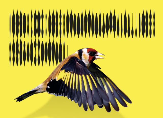 DépART Biennale du Son