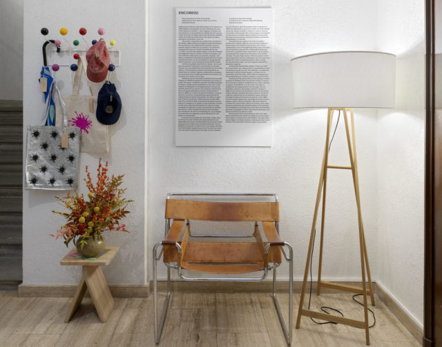 19.00 Visite privée de « Encore(s), une proposition de John M Armleder »