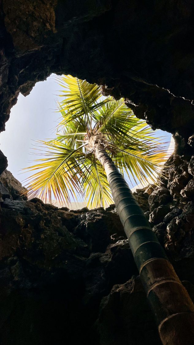 Voyage à Lanzarote